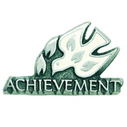 Achievement Lapel Pin